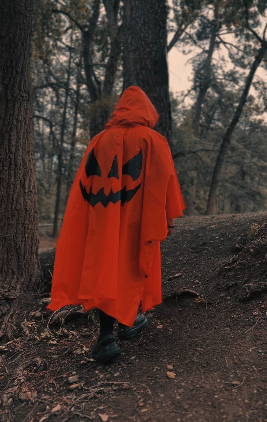 Halloween Pumpkin Rain Poncho