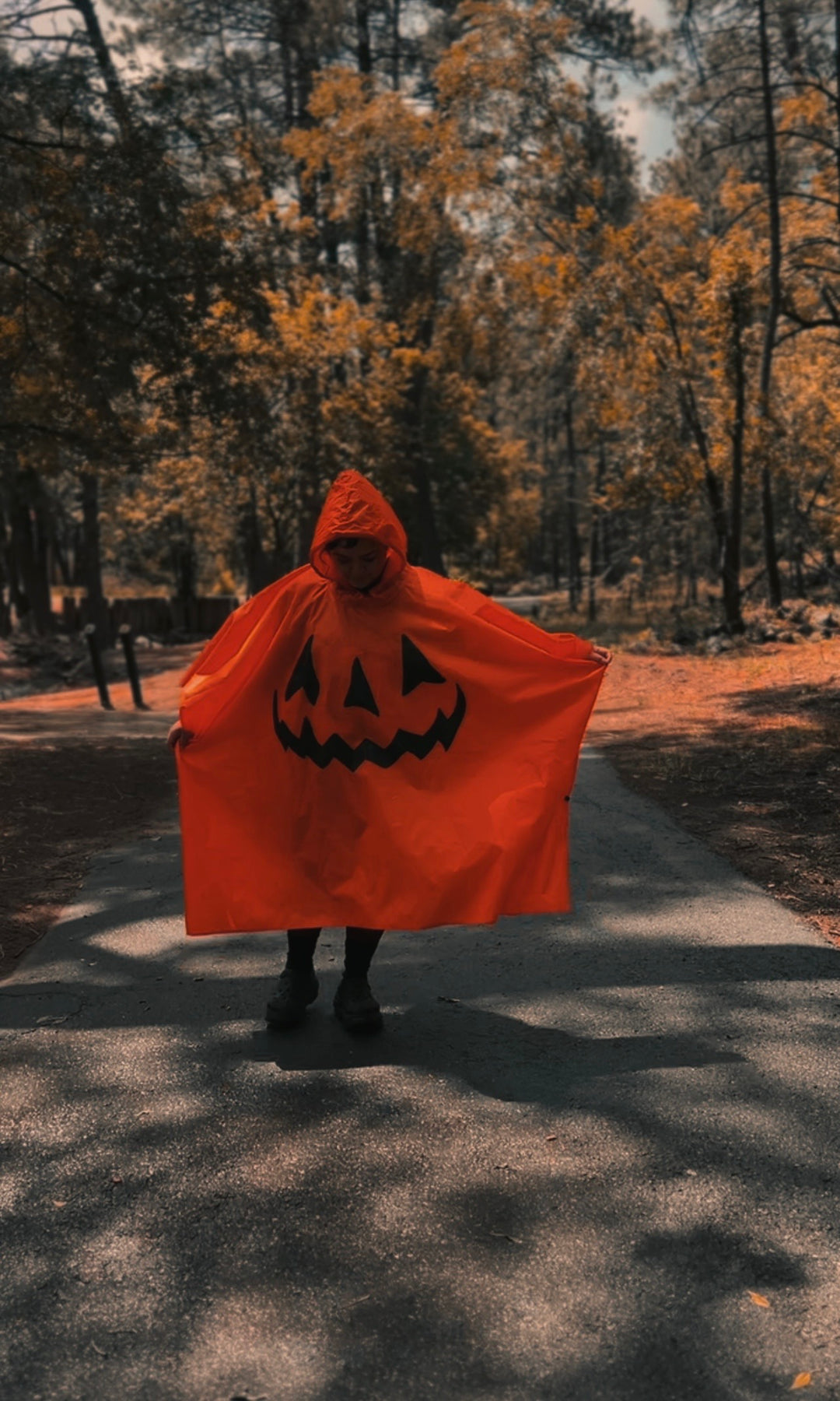 Halloween Pumpkin Rain Poncho
